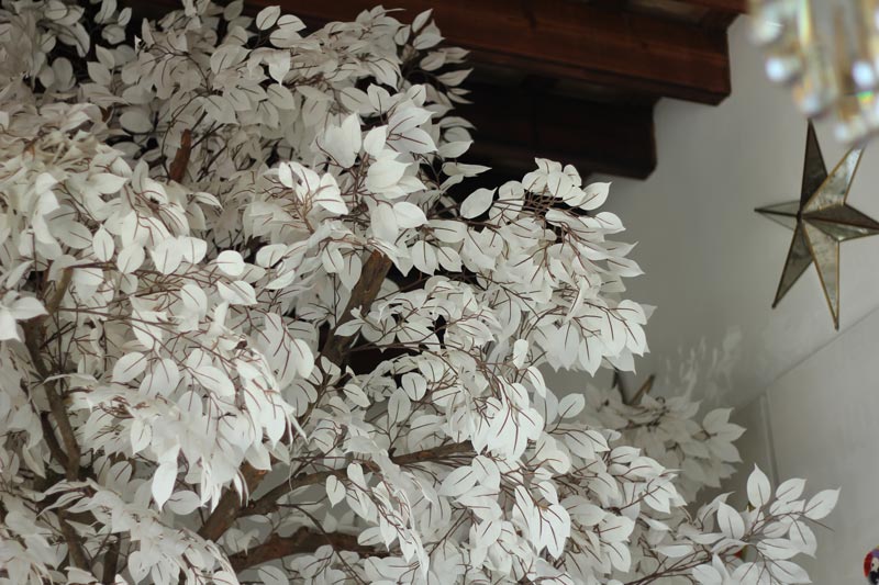 Tienda Juan Rodríguez